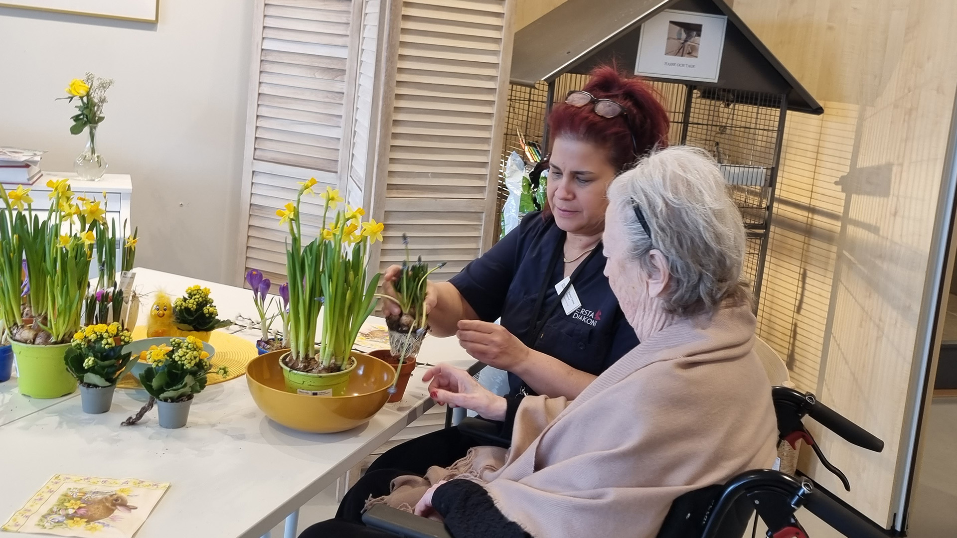 marisol sitter tillsammasn med en äldre kvinna och arrangerar gula blommor
